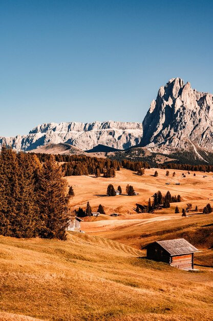 Alpe di Siusi Seiser Alm Langkofel berggroep landschap van Alpine rode herfst Alpe di Siusi wandelen natuurlandschap in de Dolomieten houten chalets in de Dolomieten Trentino Alto Adige