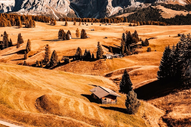 Alpe di Siusi Seiser Alm Langkofel 산악 그룹의 알파인 붉은 가을 풍경 Alpe di Siusi 하이킹 자연 풍경 Dolomites의 목조 샬레 Trentino Alto Adige