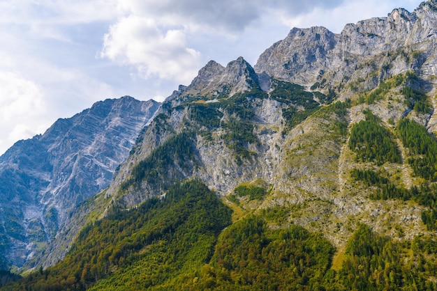 Alpen bergen bedekt met bos Koenigssee Konigsee Berchtesgaden Nationaal Park Beieren Duitsland