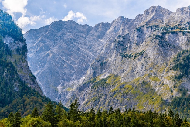 Alpen bergen bedekt met bos Koenigssee Konigsee Berchtesgaden Nationaal Park Beieren Duitsland