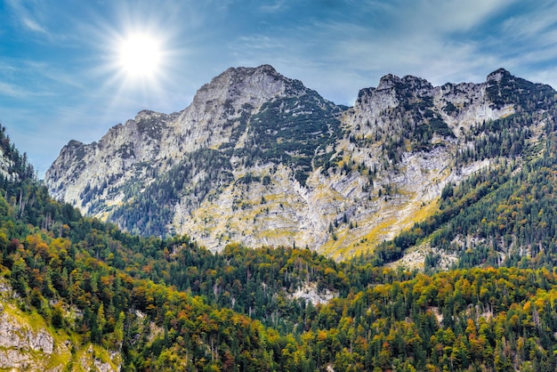 Alpen bergen bedekt met bos Koenigssee Konigsee Berchtesgaden Nationaal Park Beieren Duitsland