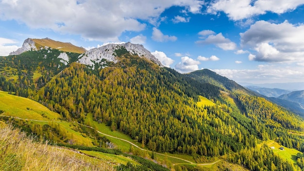 Alpen Prachtige natuur Bergen heuvels bos en weg