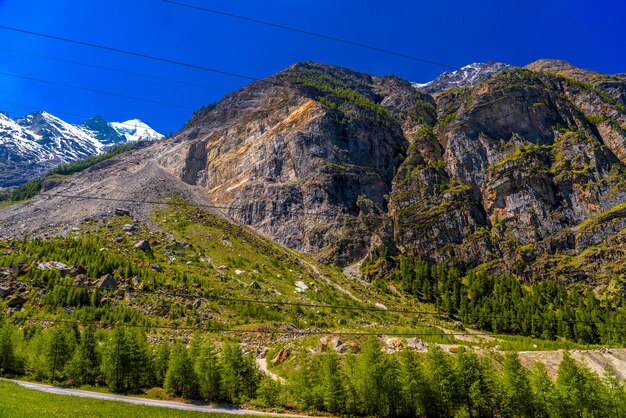 Alpenbergen met dennenbos Randa Visp Wallis Wallis Sw