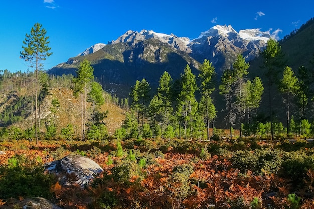 Alpenlandschap van Tibet