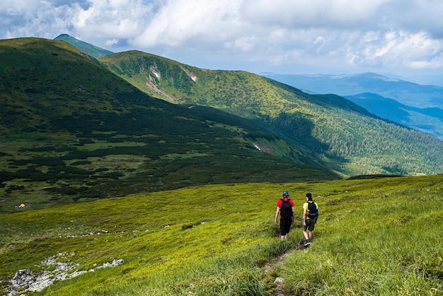 Alpenweidelandschap in de zomer