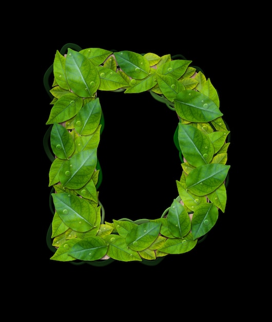 Alphabet letters from leaves