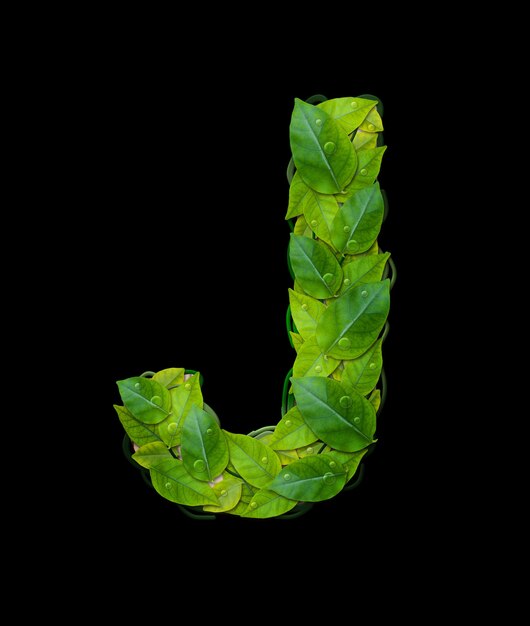 Alphabet letters from leaves