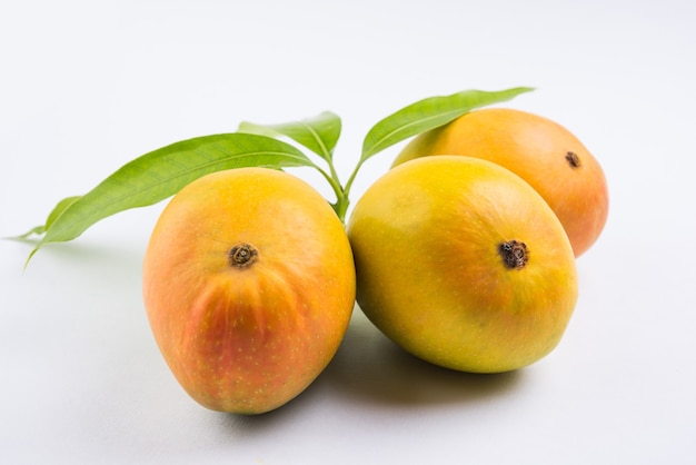 Alphonso Mango or Hapoos Aam is a seasonal and juicy fruit from India known for it's sweetness, richness and flavour. Over colourful background. Selective focus