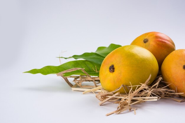 Alphonso Mango or Hapoos Aam is a seasonal and juicy fruit from India known for it's sweetness, richness and flavour. Over colourful background. Selective focus