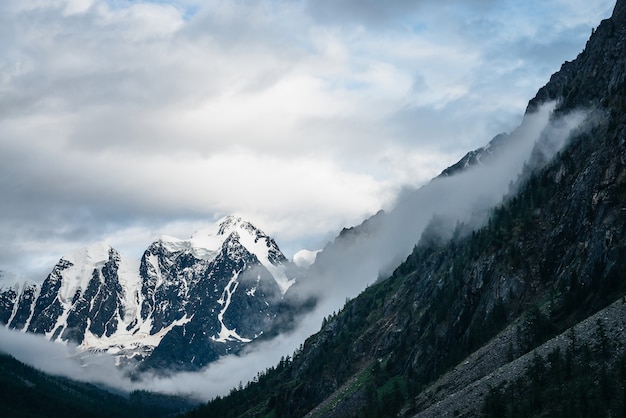 Alpien landschap met grote gletsjer achter bergen met bos onder bewolkte hemel