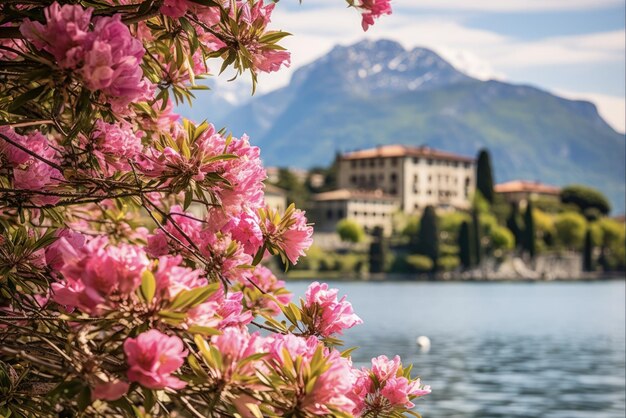 Alpine Beauty of Lake Como Oleander Flowers and Villa Monastero in the Background Varenna A