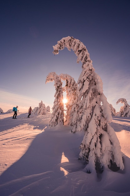 Alpine bergen landschap met witte sneeuw en blauwe lucht Zonsondergang winter in de natuur Ijzige bomen onder warm zonlicht Prachtig winters landschap