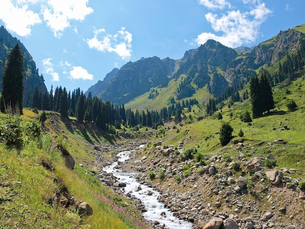 ALPINE ПЕЙЗАЖ