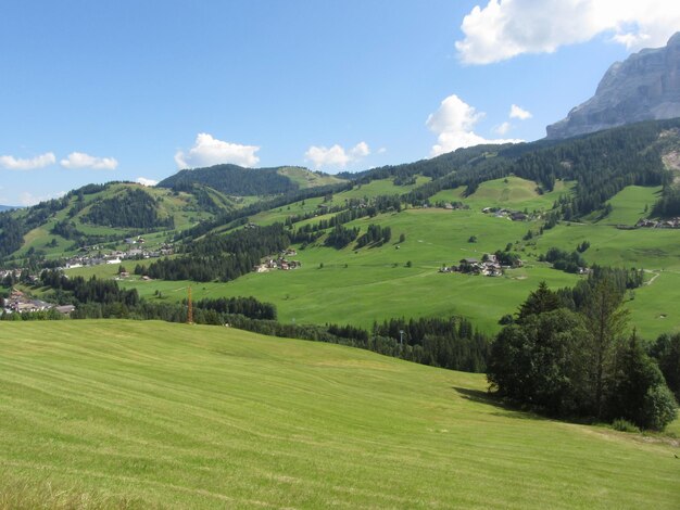 Alpine landschap met groene weiden en dennen tegen Italiaanse dolomieten in de zomer