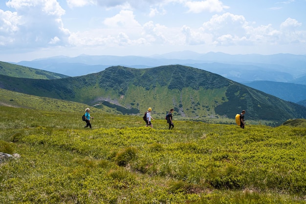 夏の高山草原の風景