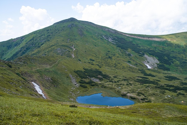 Альпийский луговой пейзаж летом