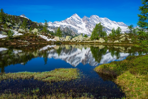 Alpine meer in idyllische omgeving met rotsen en bossen