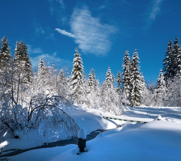 Foresta di abeti invernali innevati di montagna alpina con nevicate e piccoli ruscelli ghiacciati