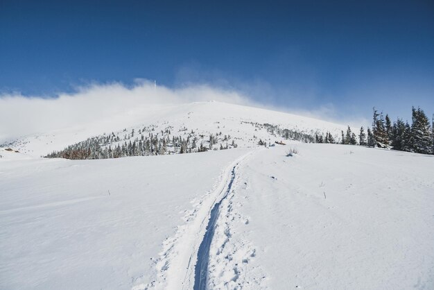 写真 白い雪と青い空とアルプスの山々 の風景 自然の中で日没の冬 暖かい日差しの下で凍るような木 冬のクラロバ ホラ 低タトラ スロバキアの風景へのハイキング