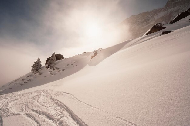 Alpine mountains landscape with white snow and blue sky frosty\
trees under warm sunlight wonderful winter landscape adventure\
winter sport high tatras slovakia landscape