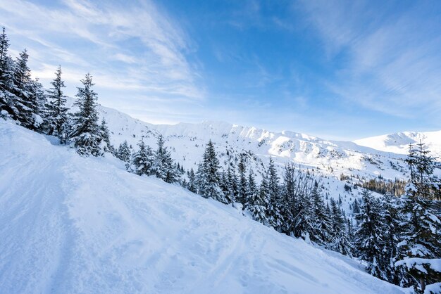 白い雪と青い空とアルプスの山の風景 暖かい日差しの下で自然の冬の日没 Jasna 低タトラ スロバキア