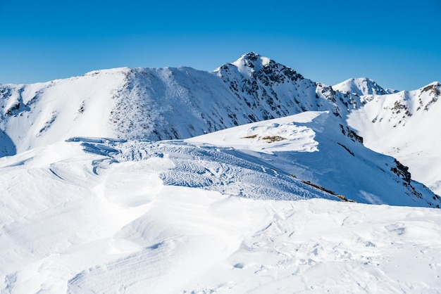 하얀 눈과 푸른 하늘이 있는 고산 산 풍경 자연의 일몰 겨울 따뜻한 햇빛 아래 서리가 내린 나무 멋진 겨울 풍경 Western Tatras 슬로바키아