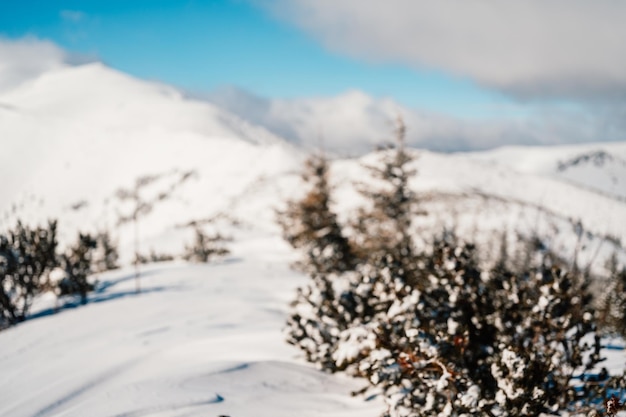 하얀 눈과 푸른 하늘이 있는 고산 산 풍경 자연의 일몰 겨울 따뜻한 햇빛 아래 서리가 내린 나무 멋진 겨울 풍경