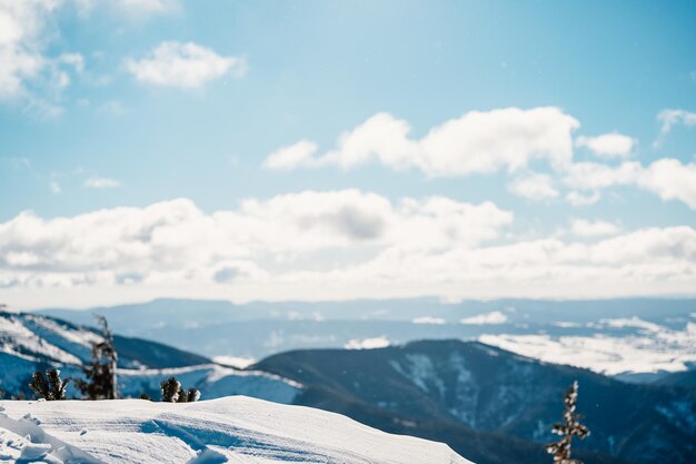 Alpine mountains landscape with white snow and blue sky Sunset winter in nature Frosty trees under warm sunlight Wonderful wintry landscape