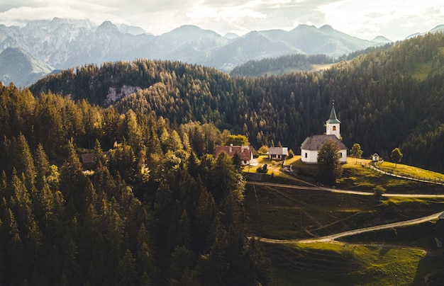 Alpine platteland landschap met hoge bergen Kamnik Savinja Alpen Logar vallei Slovenië Europa