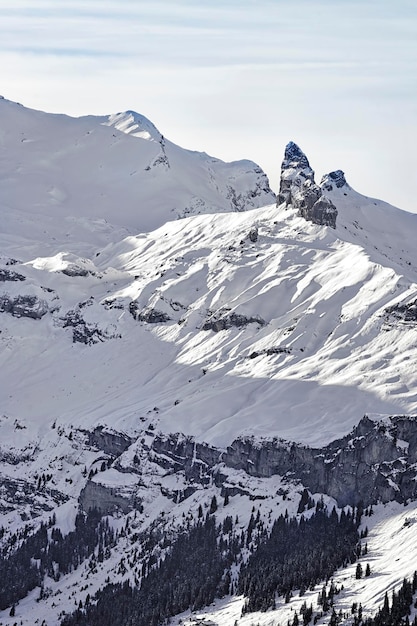 Alpine scherpe rots in de winter Zwitserse Alpen Jungfrau-regio