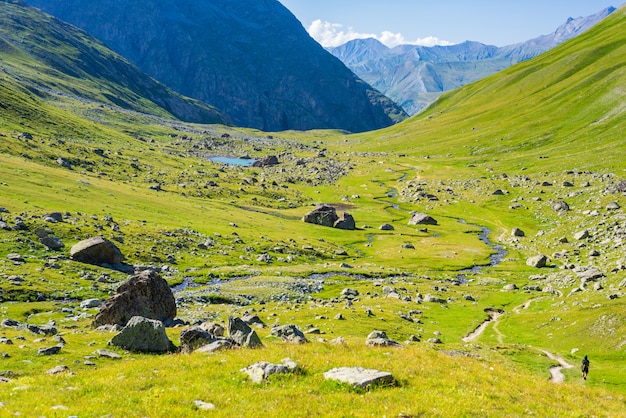 Alpine stream in idyllic valley amid rocks and green meadows