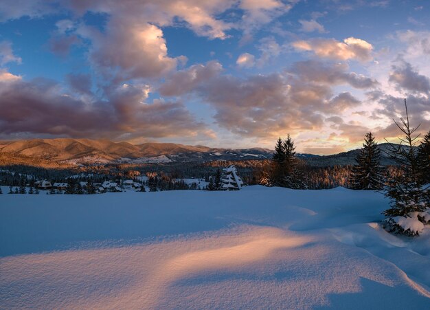 Alpine village outskirts in last evening sunset sun light Winter snowy hills and fir trees Picturesque clouds and Moon in dusk sky