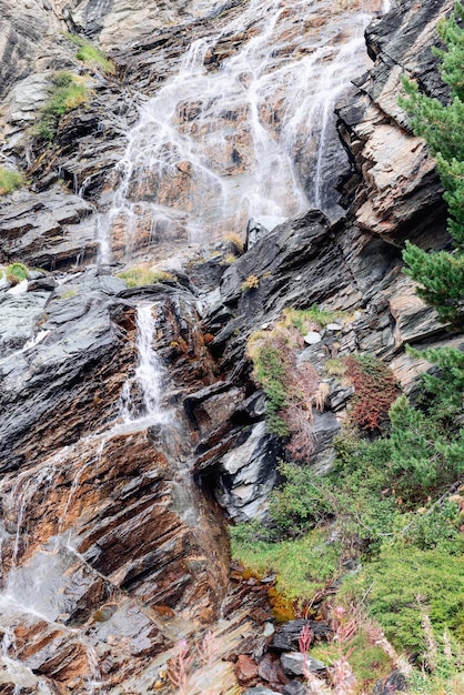 Alpine waterfall flows over multicoloured granite cliff with sparse rock vegetation and pine tree