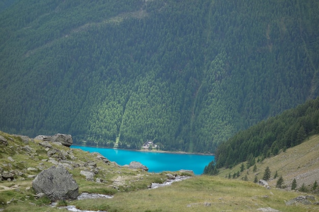 the alps in austria