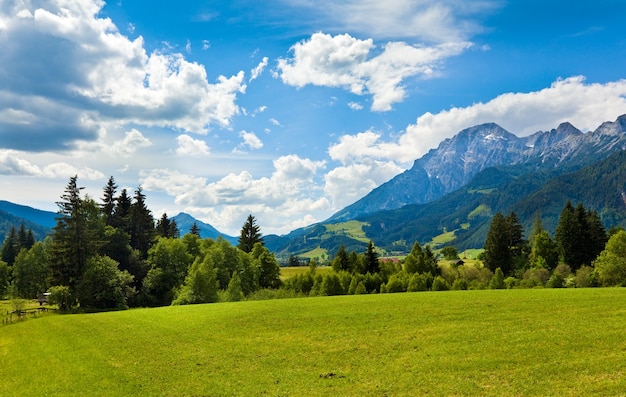 Alps mountain meadow tranquil summer view, Austria, Gosau village outskirts