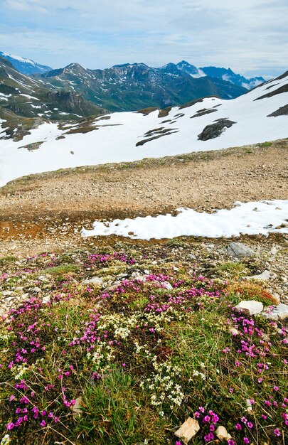 Grossglockner High Alpine Road에서 바라본 알프스 산맥