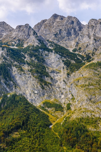 숲으로 덮인 알프스 산맥 Koenigsee Konigsee Berchtesgaden 국립 공원 바이에른 독일