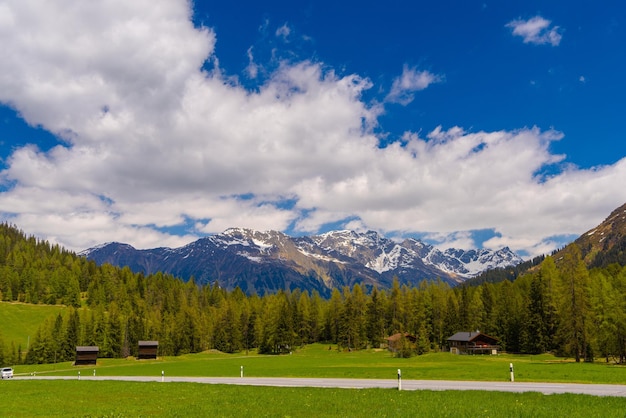 소나무 숲으로 덮인 알프스 산맥 Davos Graubuenden Sw