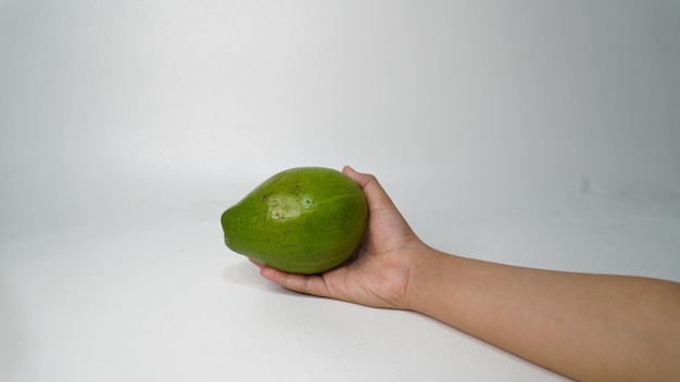 색 바탕에 있는 알푸카트 멘테가 또는 버터 아보카도 과일