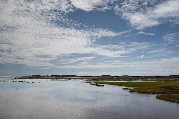 Als de schemering over de zee valt