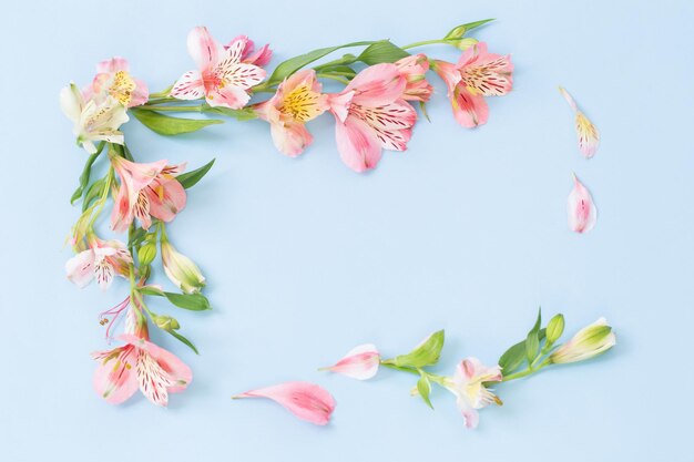 青の背景にアルストロメリアの花