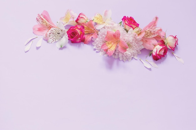 보라색 배경에 Alstroemeriaand 국화 꽃