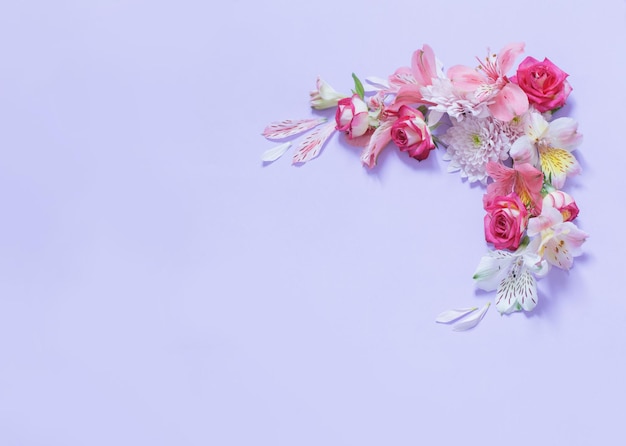 보라색 배경 에 있는 알스트로메리아 와 크리산테<unk> 꽃