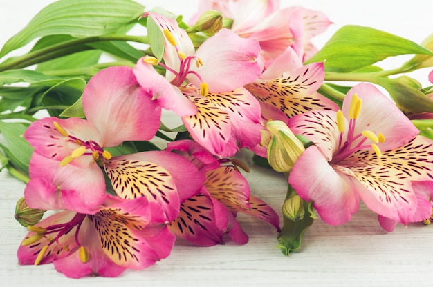 Alstromeria flowers on wooden background