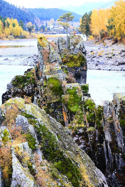 Altai berg rivierlandschap, panoramisch landschap turquoise stroom