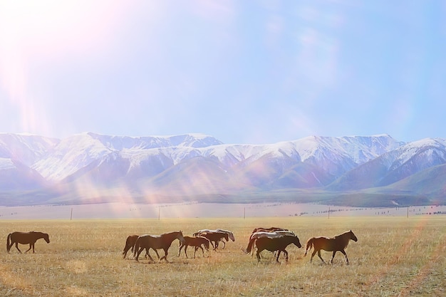 Altai berglandschap bergen achtergrond weergave panorama