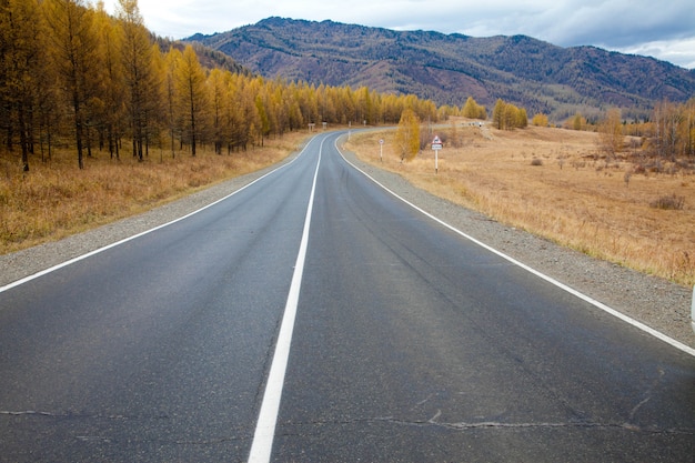 Altai herfst. Chui-weg