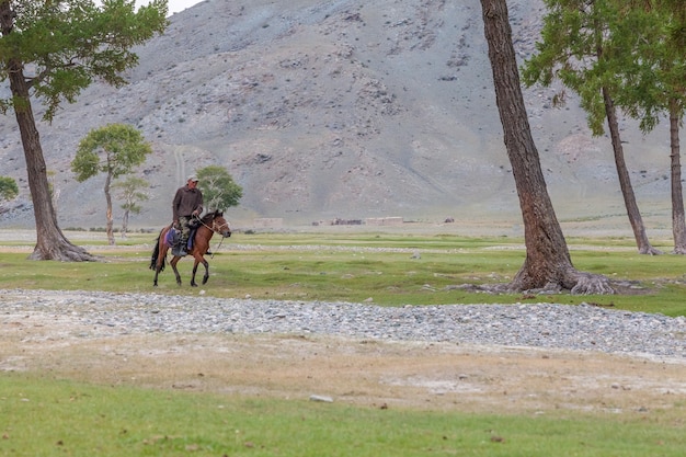 Altai, Mongolia - June 14, 2017: a tired nomad shepherd rides a horse home. Mongolian Altai