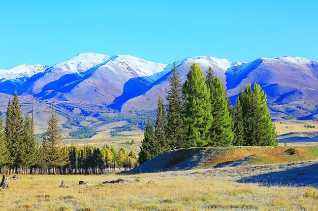 アルタイ山脈の風景、パノラマ秋の風景の背景、秋の自然の眺め