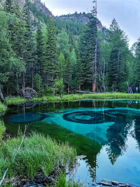 Altai Republic Siberia Russia  June2020 Blue geyser lake in the Altai mountains Altay